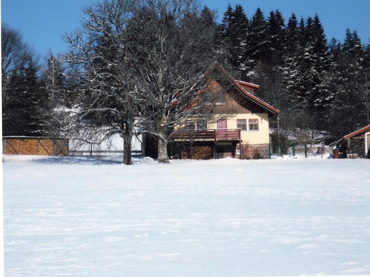 Apartament Landhaus Graf Kniebis Zewnętrze zdjęcie